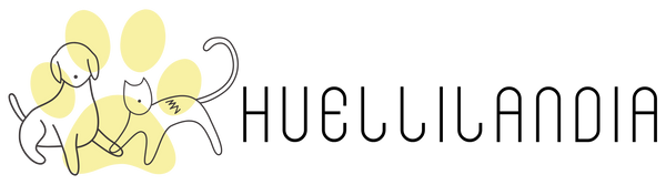 Huellilandia